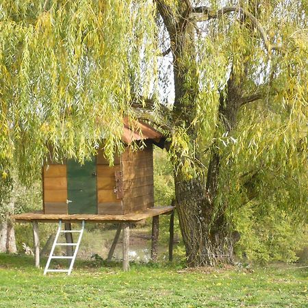 Les Convertigues Montjoire Exterior foto